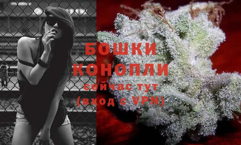 наркота  Боровичи  Бошки Шишки THC 21% 